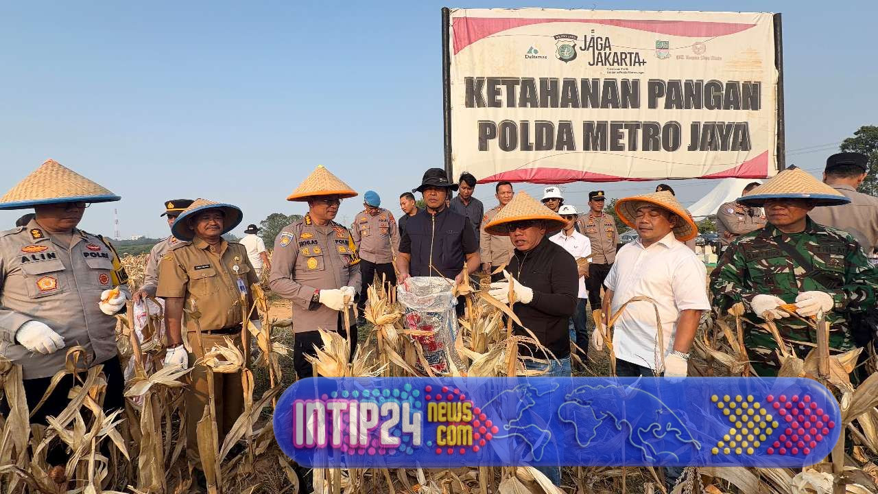 Panen Raya Jagung Kuartal I 2026 di Cikarang Pusat, Polres Metro Bekasi Siapkan Panen Bertahap hingga 50 Hektare