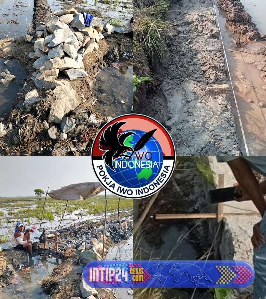 69 Titik Program P3-TGAI 2026 Di Kabupaten Bekasi Disorot: Rawan Penyimpangan dan Kualitas Buruk, IWO INDONESIA Minta Pengawasan Diperketat 69 Titik Program P3-TGAI 2026 Di Kabupaten Bekasi Disorot: Rawan Penyimpangan dan Kualitas Buruk, IWO INDONESIA Minta Pengawasan Diperketat