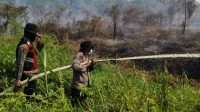 20 Persen dari 35 Hektare Lahan Gambut di Desa Pulau Damar, Kecamatan Banjang di Lahap Api
