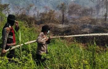 20 Persen dari 35 Hektare Lahan Gambut di Desa Pulau Damar, Kecamatan Banjang di Lahap Api