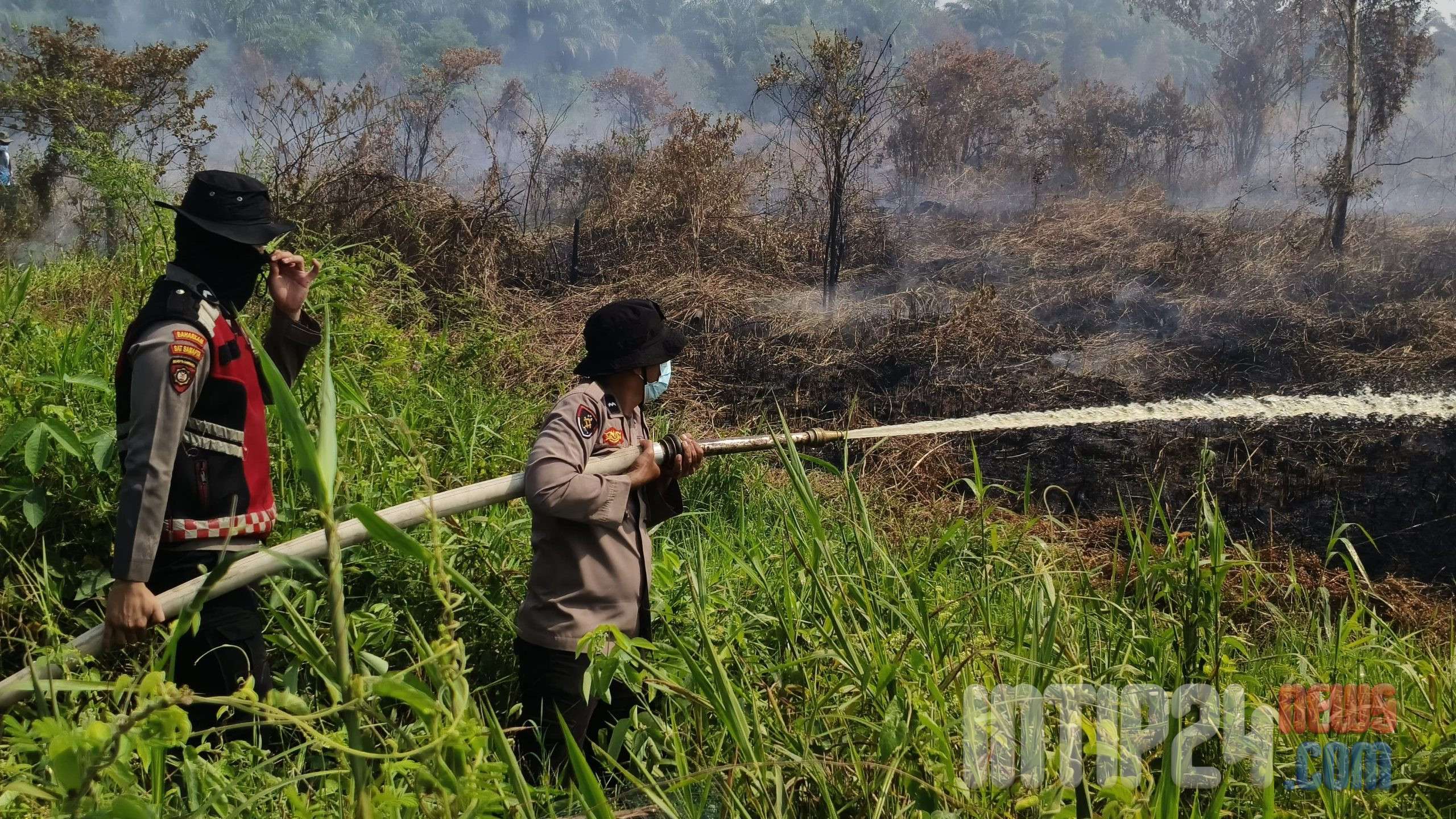 20 Persen dari 35 Hektare Lahan Gambut di Desa Pulau Damar, Kecamatan Banjang di Lahap Api